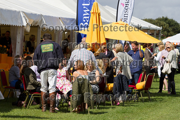 Bawtry_Polo_Cup_Vale_of_York_17th_Aug_2014.008