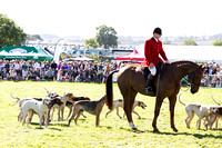 Southwell_Ploughing_Match_Hound_Parade_26th_Sept_2015_011