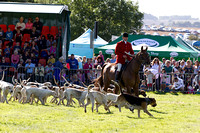 Southwell_Ploughing_Match_Hound_Parade_26th_Sept_2015_003