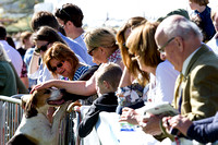 Southwell_Ploughing_Match_Hound_Parade_26th_Sept_2015_015