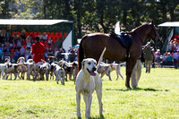 Southwell_Ploughing_Match_Hound_Parade_26th_Sept_2015_019
