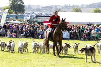 Southwell_Ploughing_Match_Hound_Parade_26th_Sept_2015_005