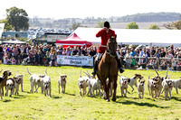 Southwell_Ploughing_Match_Hound_Parade_26th_Sept_2015_007