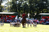 Southwell_Ploughing_Match_Hound_Parade_26th_Sept_2015_018