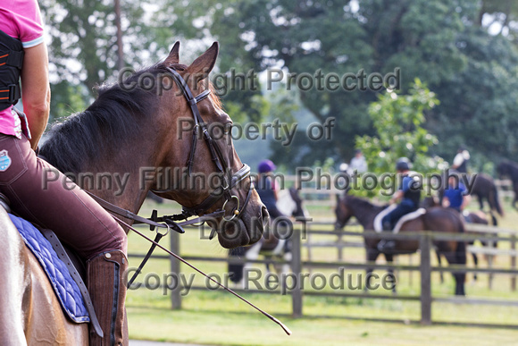 Grove_and_Rufford_Ride_5th_Aug_2014.011