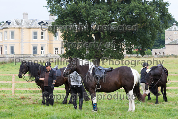 Grove_and_Rufford_Ride_5th_Aug_2014.001