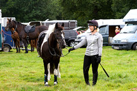 Grove_and_Rufford_Ride_5th_Aug_2014.004