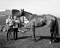 South Notts Point to Point, Large Format Film (6th April 2015)