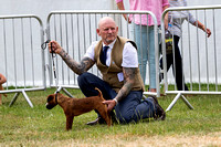 GYS_Terriers_Afternoon_Ring_Three_12th_July_2018_001