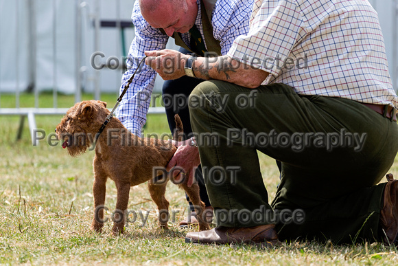 GYS_Terriers_Afternoon_Ring_Three_12th_July_2018_010