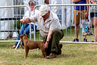 GYS_Terriers_Afternoon_Ring_Three_12th_July_2018_002