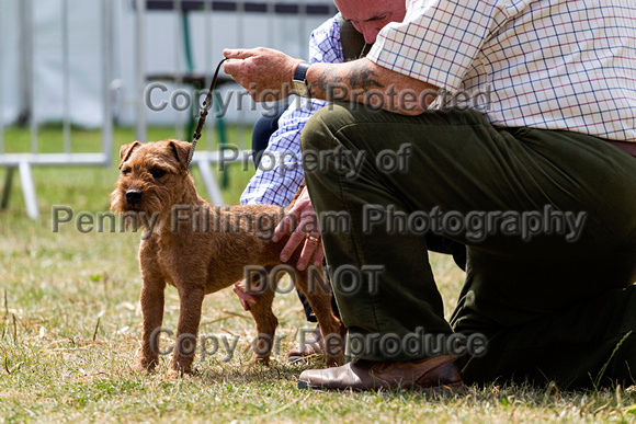 GYS_Terriers_Afternoon_Ring_Three_12th_July_2018_011