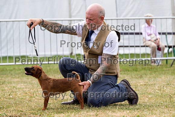 GYS_Terriers_Afternoon_Ring_Three_12th_July_2018_004