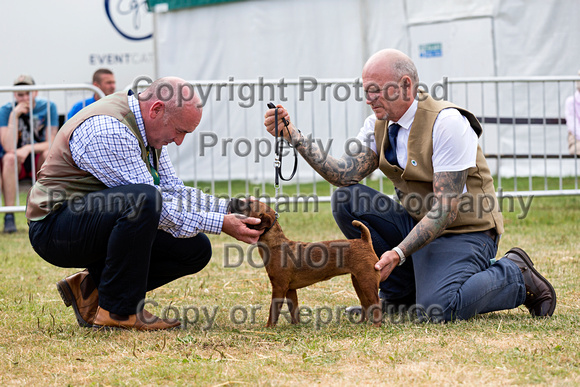 GYS_Terriers_Afternoon_Ring_Three_12th_July_2018_005