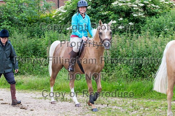 Grove_and_Rufford_Ride_Laxton_18th_June_2019_017