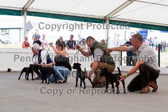 GYS_Terriers_Afternoon_Ring_One_12th_July_2018_011
