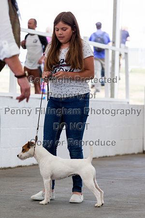 GYS_Terriers_Afternoon_Ring_One_12th_July_2018_008