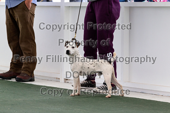 GYS_Terriers_Afternoon_Ring_Two_12th_July_2018_002