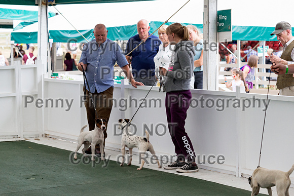 GYS_Terriers_Afternoon_Ring_Two_12th_July_2018_001