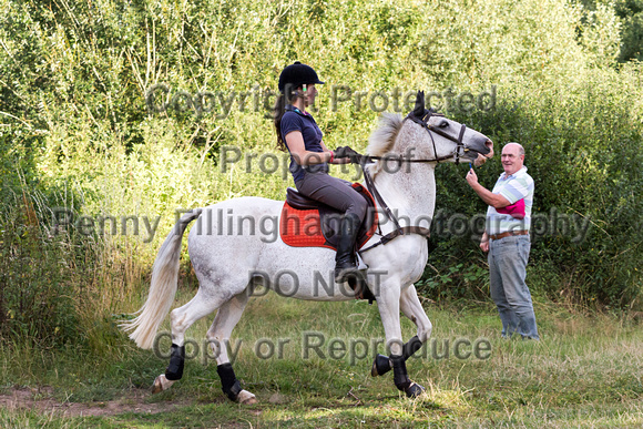 Grove_and_Rufford_Ride_Wellow_11th_August_2015_020