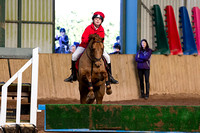 Trent_Valley_Equestrian_Indoor_XC_Class_Two_18th_Jan_2015_020