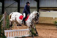 Trent_Valley_Equestrian_Indoor_XC_Class_Three_18th_Jan_2015_004