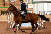Trent_Valley_Equestrian_Indoor_XC_Class_Three_18th_Jan_2015_005