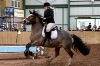 Trent Valley Equestrian Indoor XC, Class Three Pairs (18th Jan 2015)