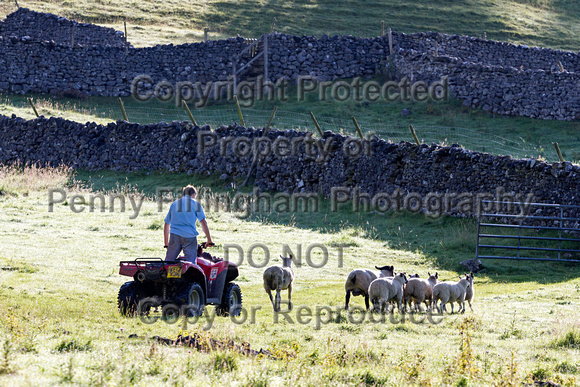 The_Glorious_12th_Kettlewell_12th_August_2015_020