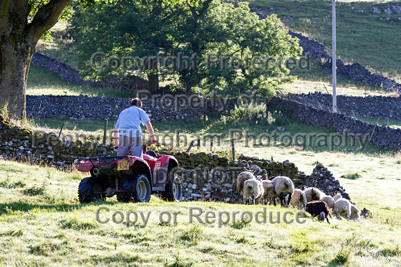 The_Glorious_12th_Kettlewell_12th_August_2015_018