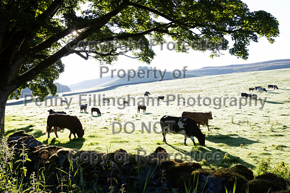 The_Glorious_12th_Kettlewell_12th_August_2015_001