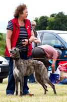 Grove_and_Rufford_Terrier_and_Lurcher_Show_16th_July_2016_020