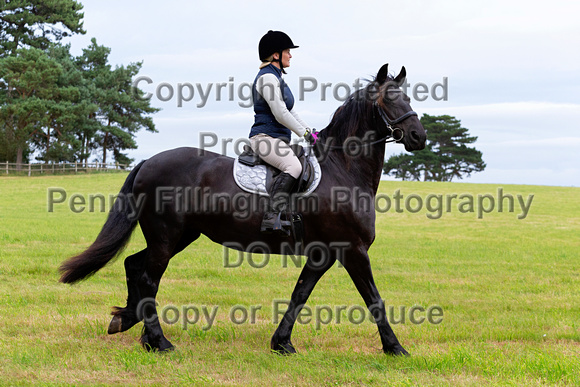 Grove_and_Rufford_Ride_Hodstock_4th_Aug_2020_016