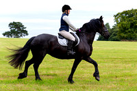 Grove_and_Rufford_Ride_Hodstock_4th_Aug_2020_019