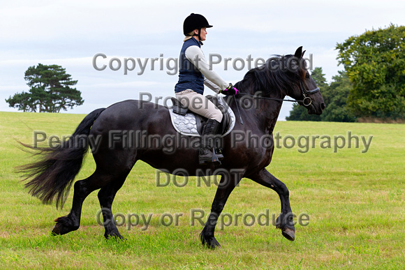 Grove_and_Rufford_Ride_Hodstock_4th_Aug_2020_019