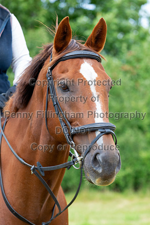 Grove_and_Rufford_Ride_Hodstock_4th_Aug_2020_004