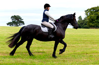 Grove_and_Rufford_Ride_Hodstock_4th_Aug_2020_018