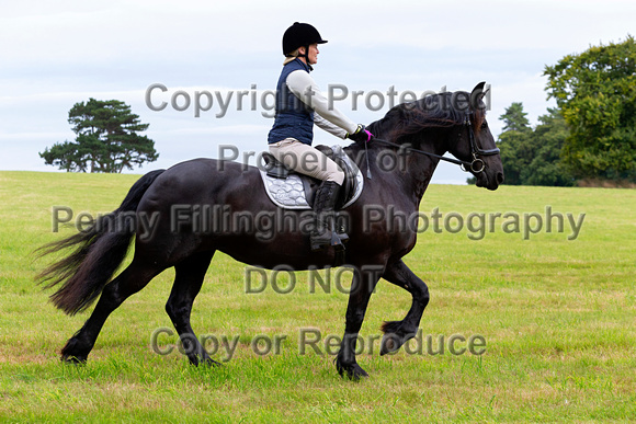 Grove_and_Rufford_Ride_Hodstock_4th_Aug_2020_018