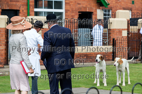 Grove_and_Rufford_Puppy_Show_9th_June_2018_008