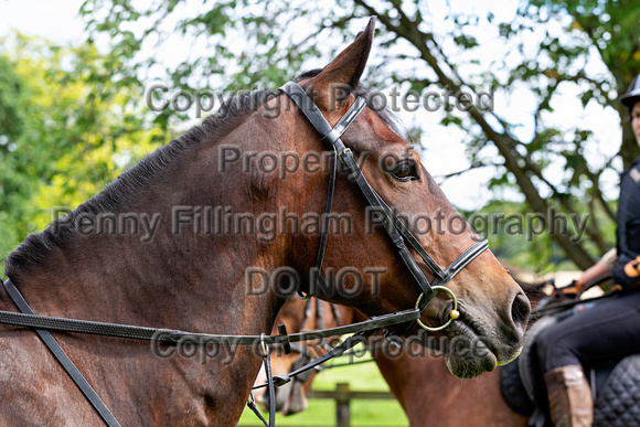 Grove_and_Rufford_and Barlow_Ride_Wentworth_11th_Aug _2019_002