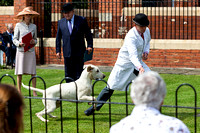 Grove_and_Rufford_Puppy_Show_9th_June_2018_012