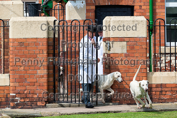 Grove_and_Rufford_Puppy_Show_9th_June_2018_011