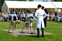 Grove_and_Rufford_Puppy_Show_9th_June_2018_003