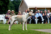 Grove_and_Rufford_Puppy_Show_9th_June_2018_014