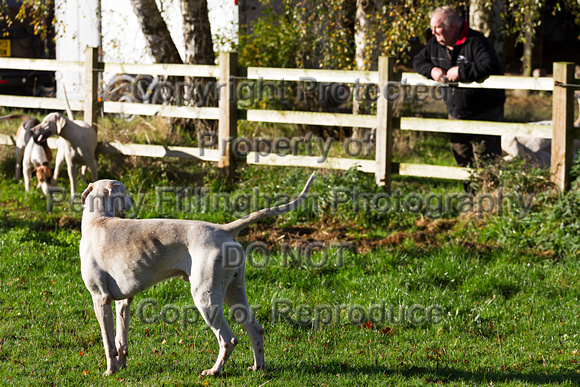 Grove_and_Rufford_Laxton_25th_Oct_2014_013