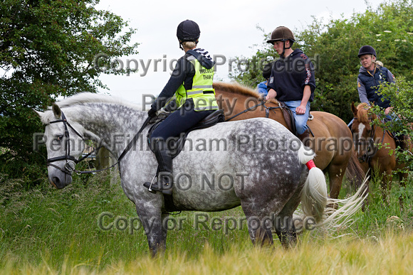 Grove_and_Rufford_Ride_Bothamsall_17th_June_2014.020