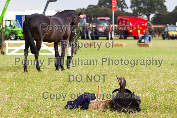 Flintham_Ploughing_Match_Equestrian_019
