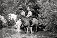 Grove_and_Rufford_Ride_Edwinstowe_13th_July_2024_008