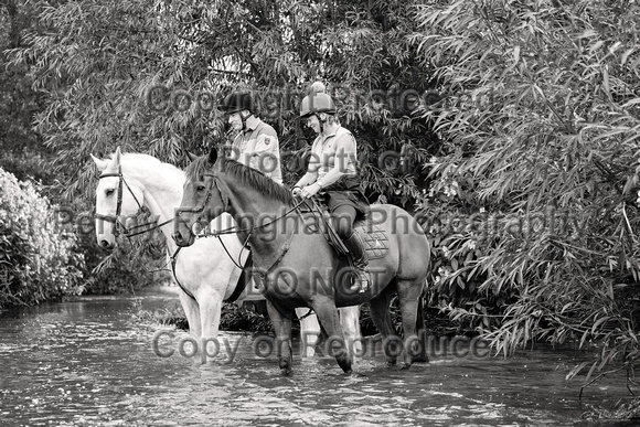 Grove_and_Rufford_Ride_Edwinstowe_13th_July_2024_008