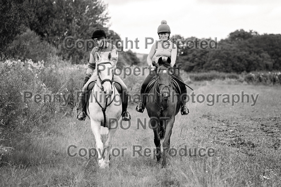 Grove_and_Rufford_Ride_Edwinstowe_13th_July_2024_003